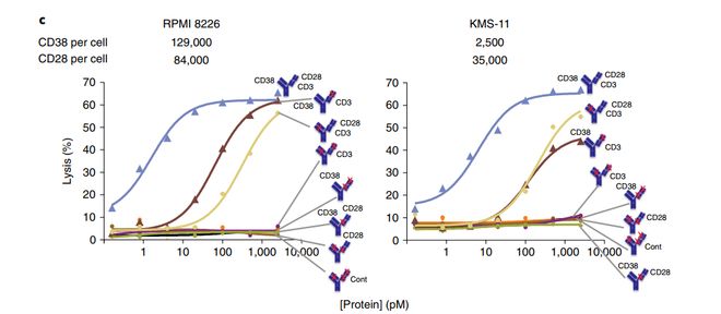 复宏汉霖：下一代TCE、ADC平台效果优异创新管线持续扩充